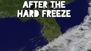 After the hard freeze | Florida Food Forest
