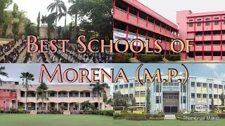 TOP 10 Schools Of Morena | Emmanuel, Neil World,....| Best Schools Of Morena