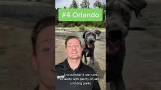 The 5 Most Dog Friendly Cities in Florida