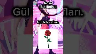 btw btw btw #itzy #blink #keşfetbeni&ouml;ne&ccedil;ıkar #keşfet #kpop #midz #once #rose #blackpink#keşfetduası