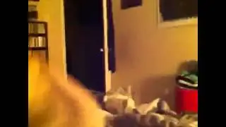 PUGNADO!!!