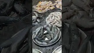 kolambi and nivti | fish🐠🐋🐟#shortsfeed #shorts #youtubeshorts #aagarikoli #recipe #koligeet
