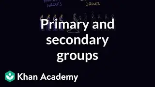 Primary and secondary groups | Individuals and Society | MCAT | Khan Academy