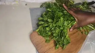 How to Keep Coriander Leaves Fresh for Weeks! (Easy Storage Hack) #hacks #tips