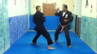 URBAN TEIKYOKU KATA+BUNKAI - MASTER ARKIA ROBEEN - AGKAI ISRAEL