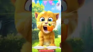 talking ginger gameplay 😂 funny cat video 🐈 #talkingtomversion #cat #talkingtom