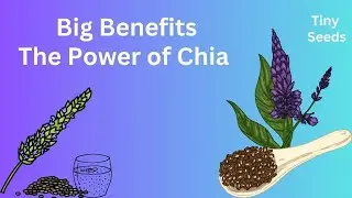 Tiny Seeds, Big Benefits The Power of Chia
