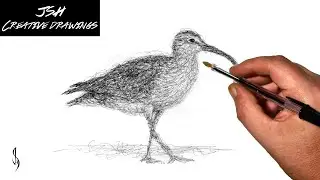 Whimbrel Bird Scribble Art Drawing with a Biro Pen