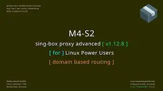 singbox proxy advanced M4 S2 domain based routing