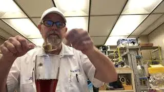 Lipton Yellow Label Tea # The Beer Review Guy