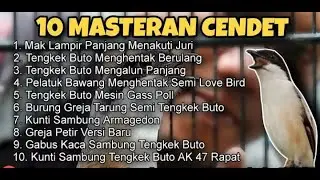MASTERAN CENDET GACOR DOR #mastercendet #cendet #juara #masteranjernih