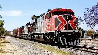120 Vagones/Carros en MIXTO/TANQUERO de Ferromex N&deg; 4636 GMXT, 4573 & DPUs Mid 4569, 4532 Ags/Mex&copy;&reg;