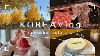 【韓国 Vlog】11月の韓国🇰🇷5泊6日のひとり旅|西村| 延禧洞|安国|買い物🛍️カフェ☕️ひとりごはん|EP01前半編