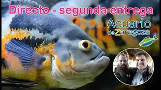Directo completo desde el Acuario Fluvial de Zaragoza , segunda edición -  28 de Marzo 2021