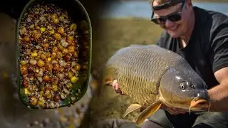 How to use particles in carp fishing