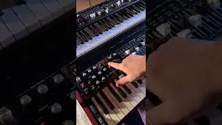 Viscount Legend One Multi Effects Engine #keyboardist #pianoplayer #piano #synth #organ #synthwave