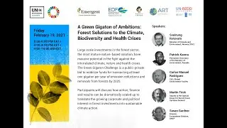 UNEA5 Green Gigaton Challenge Webinar
