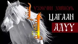 Үзэмчин хийморь - Цагаан адуу| морь- White Horse| Өвөр Монгол