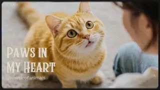 Paws In My Heart - Best of Pet Songs - Music Of Animals