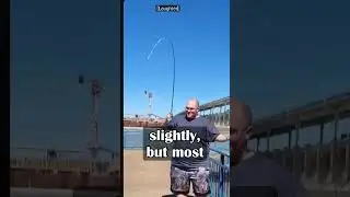 Why Is SkipJack the Best Bait?