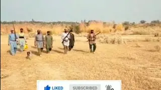 hunting|partridge hunting season 2021-22/teetar shikar