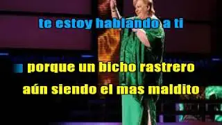 Karaoke Rata de dos patas Paquita la del Barrio V Merengue