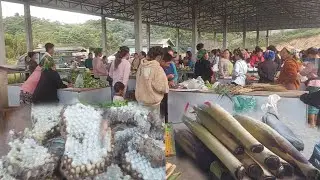 Mus Muag Ntsuag Xyoob Taj Laj Phab Kheb Neeg Coob Kawg LoTsi Poob Hlos Li 2025