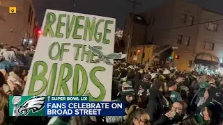 Eagles fans celebrate on Broad Street after Super Bowl LIX victory