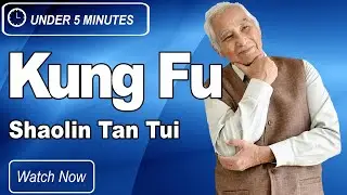 Old Man Does Shaolin Tan Tui #KungFU