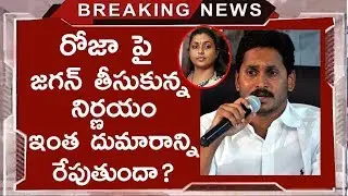 AP CM YS Jagan decision on Nagari MLA RK Roja not giving any ministry | YSRCP