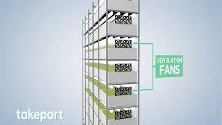 Vertical Farms | Design and Innovation | TakePart