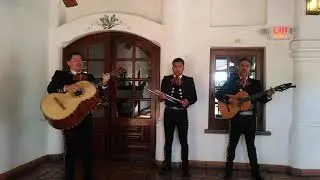 Las Consuelas Nueva
