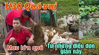 Bất ngờ với đàn vật nuôi và vườn rau của U30 phát triển khá nhanh#u30 