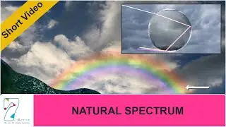 NATURAL SPECTRUM