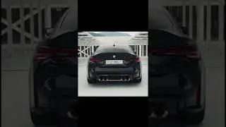 BMW x cat😽