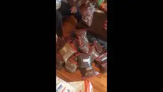 September 2019 Non - Profit Community Pet Food Pantry Giveaway - The Kia Foundation, Inc.