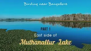 Muthanallur Lake - Part 1 || East side of Muthanallur Lake Bangalore || Bird watching Karnataka