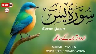 Surah Yaseen with Urdu Translation by Qari Ismail Al Nouri | Heart-Soothing Recitation | Episode 254