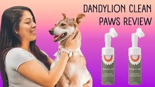 Dandylion Clean Paws Review