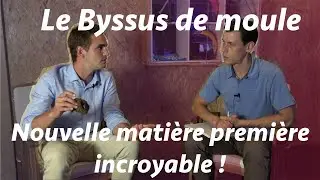 Le Byssus de moule comme mati&egrave;re premi&egrave;re ! Pour Robin ce 