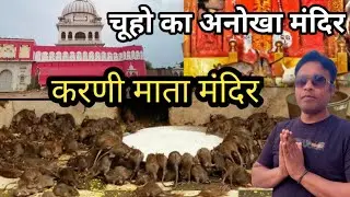  चूहों का अनोखा मंदिर करणी माता देशनोक बीकानेर | Temple Of Rats Bikaner Rajasthan 