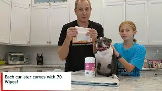 Nootie Ear Wipe Solutions For Pets