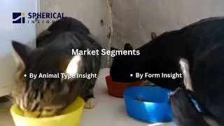 The Business Behind Pet Food | Market Explained