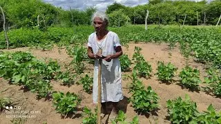 DONA MARIA, UM EXEMPLO DE VIDA NO SERTÃO NORDESTINO BRASILEIRO.