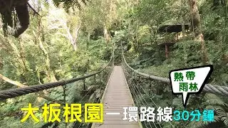 2021(春)大板根園區-一環介紹