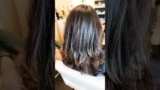 Kristin Ess Signature Gloss #shorts #trending #hair #fypシ #fyp #haircare #target #trendingshorts