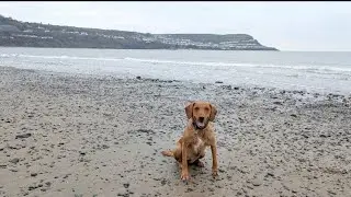 Cei Bach Beach, Vlog 11.02.25