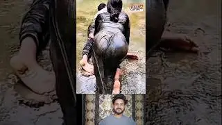 funny 😂😂P146 #shorts #funny #shortsfeed #fails