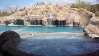 Largest Residential Pool in Arizona!! AZ!!! Lady Gaga!