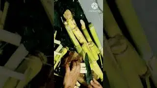 చెరకు గడలు sugar Crane Latha cook house